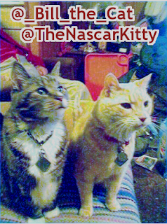 @theNascarkitty and @_Bill_the_cat
