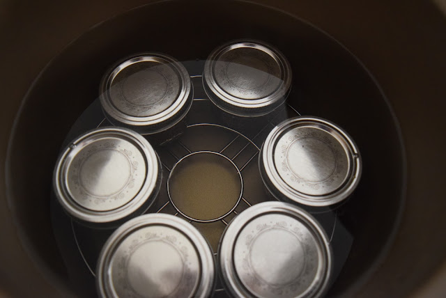 Looking down on six 4-oz jars of wild rose petal jelly in a waterbath canner.