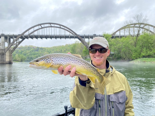 Brown trout on the White River at Cotter Arkansas