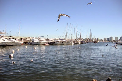 Punta del Este - Uruguai - escala de cruzeiro