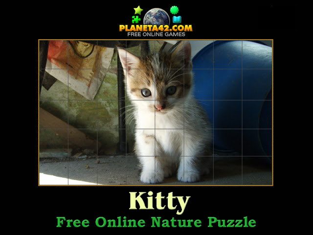 Kitty Puzzle