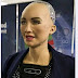 Sophia The First Robot Citizen, Thinks About Gender And Feeling