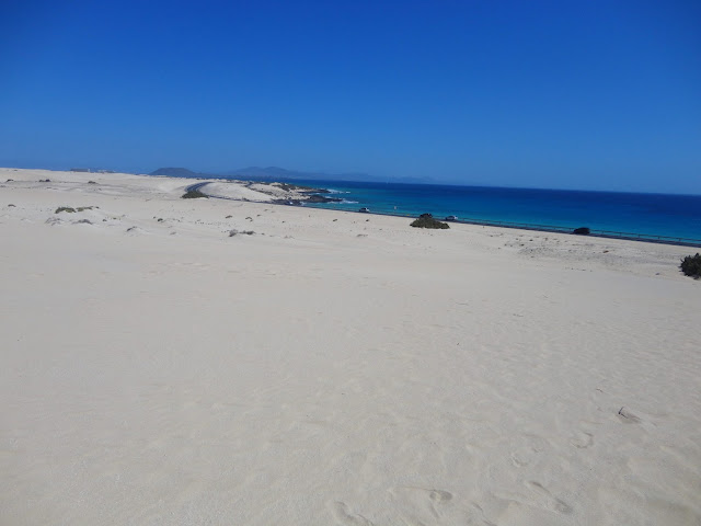 Los 10 imprescindibles de Fuerteventura: Dunas de Corralejo