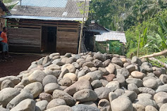 Nando Terlunta-Lunta Di rumah Tak Layak Huni,Pasca Di Tinggal Kedua Orang Tuanya Merantau Tanpa Kabar.