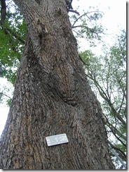 P8301765