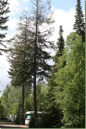 our site_3159