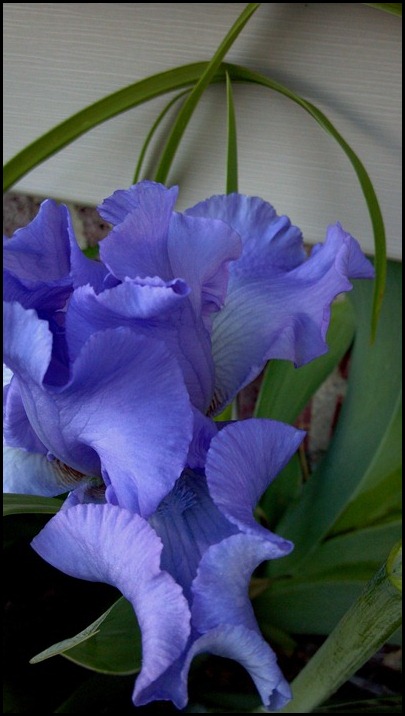 2012-04-14