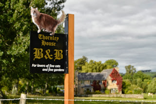 Accommodation with pets allowed Quiet hotel ideal for Northumberland walking