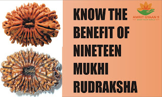 Know The Benefit Of Nineteen Mukhi Rudraksha