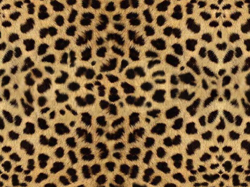cheetah print background. colorful animal print