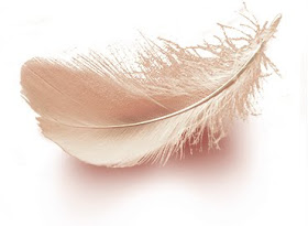 small white feather