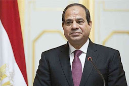 Egypt's Abdel-Fattah el-Sissi Elected New Chairman of African Union