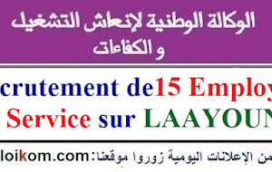 تشغيل 15 عامل وعاملة أعمال حرة بمدينة العيون