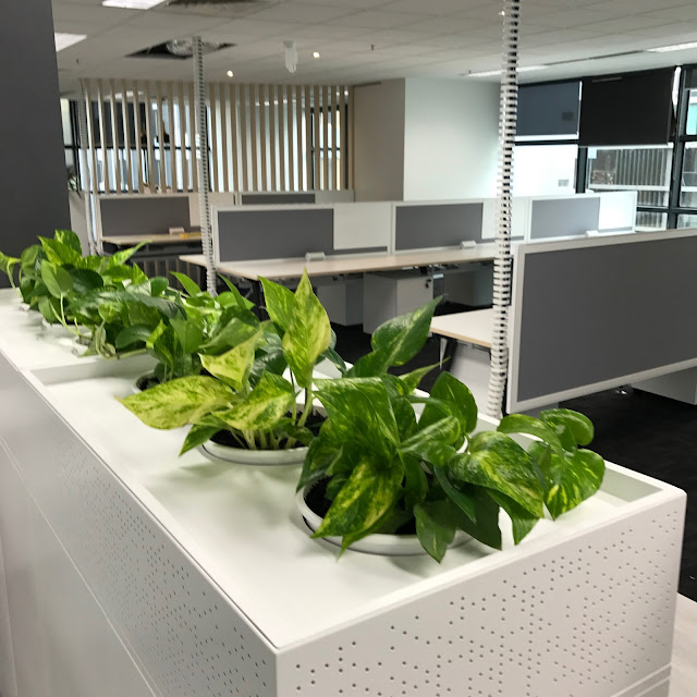 Office Plant Hire Melbourne