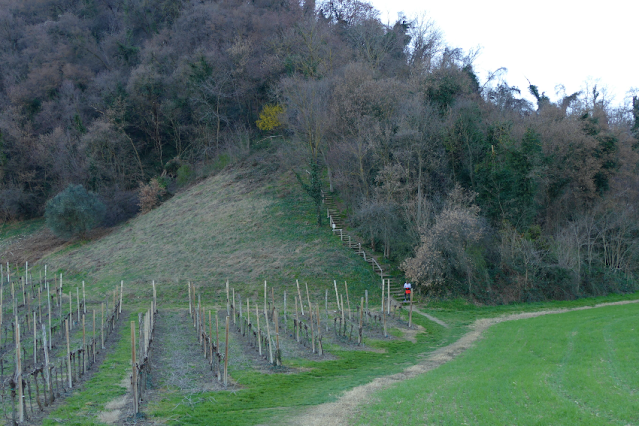 passeggiata vicenza monte berico la rotonda