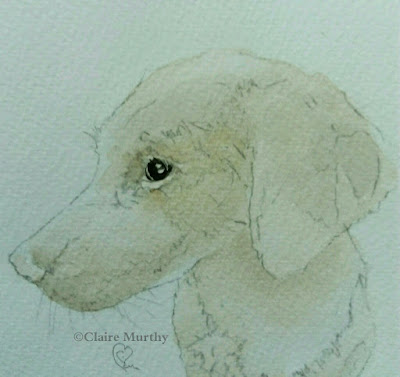 dog sketches kent sussex surrey london. drawing classes.