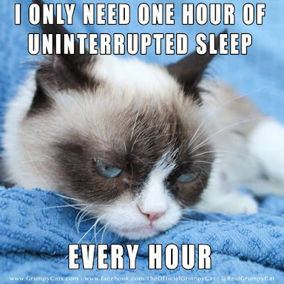 Cat Memes For You For More, Click On The Grumpy Cat Facebook Page