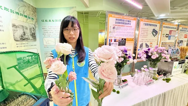 ▲臺中農改場展示洋桔梗智能LED補光及保鮮劑開發與應用。（記者林明佑攝）