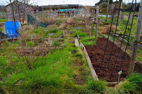 14b (day 2) - 'growourown.blogspot.com' ~ allotment blog