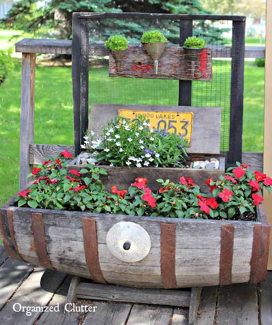 Adding Vertical Interest to the Container Garden www.organizedclutter.net