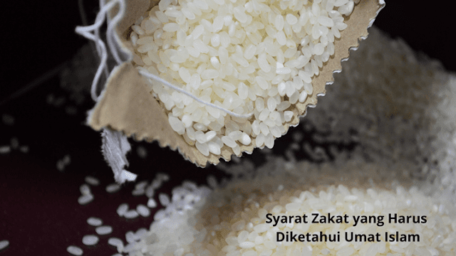 Syarat Zakat yang Harus Diketahui Umat Islam