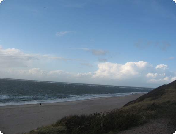 blåvand november 033