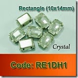 RE1DH1 copy