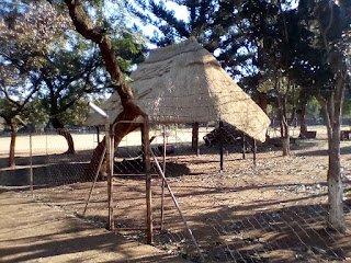 thatching companies in Zimbabwe