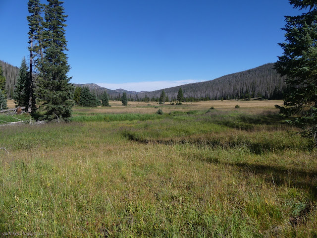 088: lots of long meadow