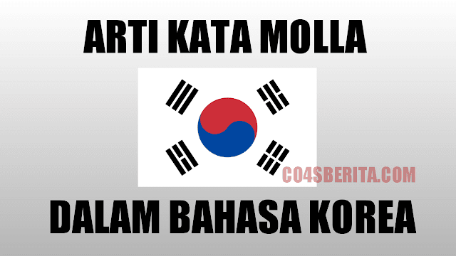 Arti Kata Molla Dalam Bahasa Korea