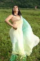 Bollywood and Tollywood acress Lakshmi, Rai, lakshmi rai in christian brothers, malayalam movie, image, gallery, 