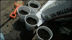 planting 311