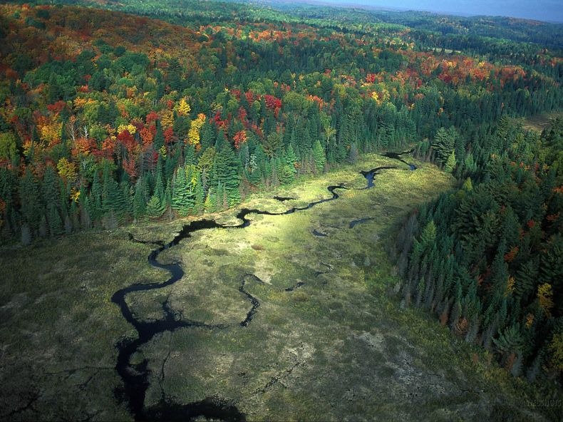 Algonquin- Park-0