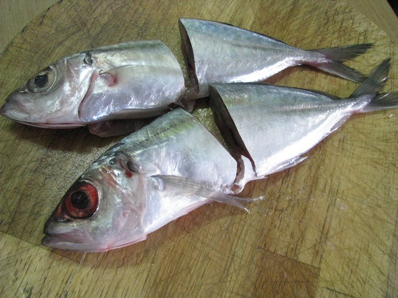Trend Terbaru Ikan Kembung