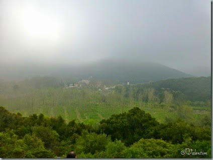 P1080560