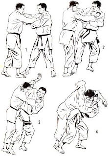 techniques judo