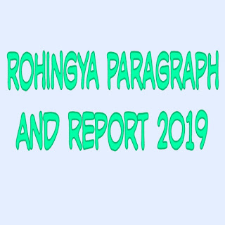 Rohingya paragraph and report for all section 2019