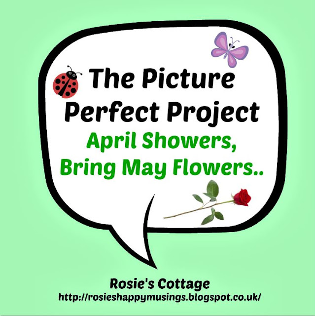 The Picture Perfect Project 2016 April Showers Bring May Flowers