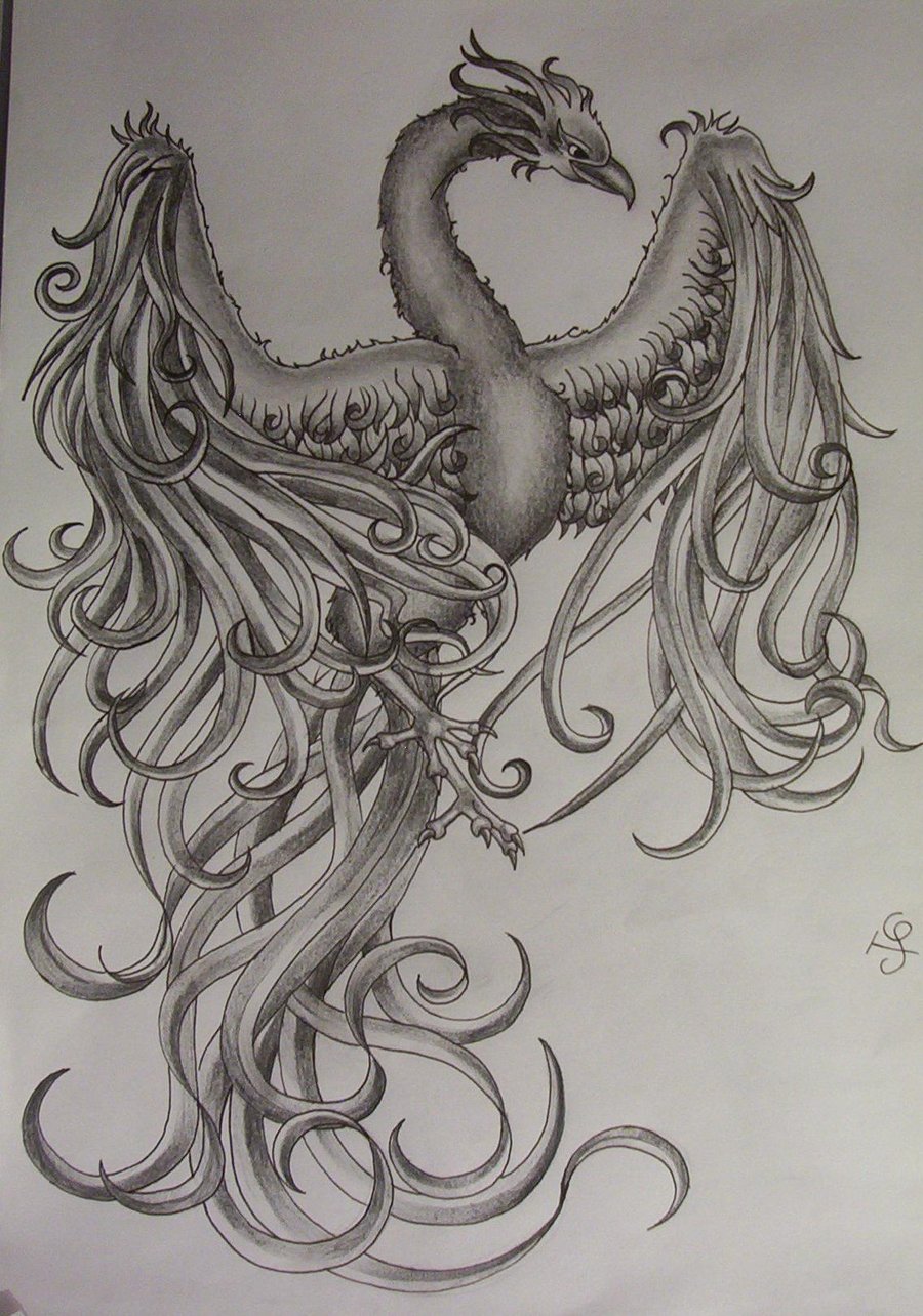 tattoo designs phoenix