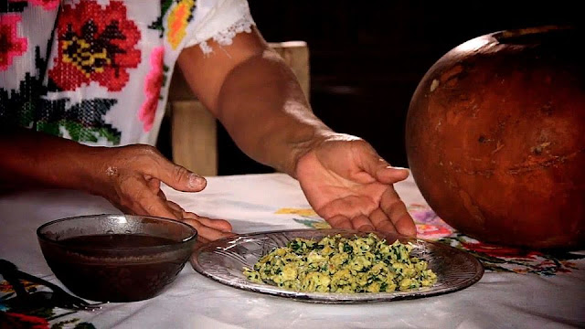 La Chaya planta nativa de Yucatán