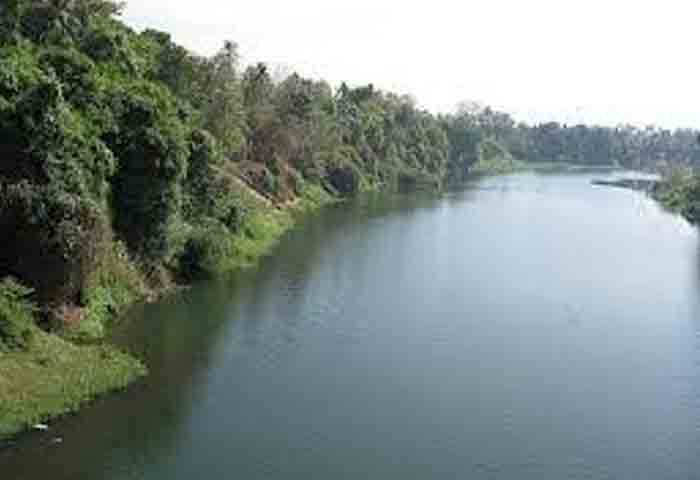 news,Kerala,State,Top-Headlines,Palakkad,ALERT,River,District Collector, Parambikulam Dam Shutter Damaged; Chalakkudy river raises