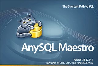 AnySQL Maestro Professional 16.12.0.5 Terbaru Full Version
