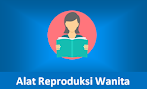 Bagian-Bagian Alat Reproduksi Perempuan Beserta Fungsinya