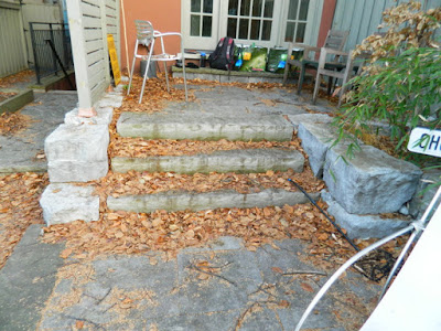 Cabbagetown Toronto Backyard Fall Cleanup Before by Paul Jung Gardening Services--a Toronto Organic Gardening Company