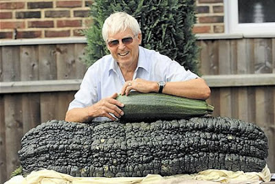 Worlds Largest Marrow (113 Lbs or 65 Kg)