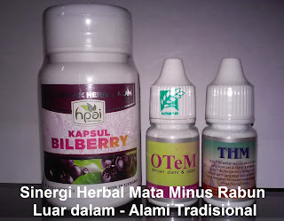 Cara alami mengobati rabun mata plus minus herbal bilberry hpai