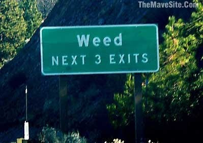 Weed in a few miles signs