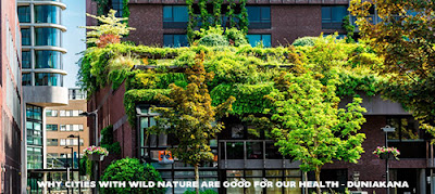 Why Cities With Wild Nature Are Good For Our Health