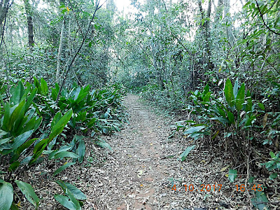 Área verde da vila dos remédios - Trilhas