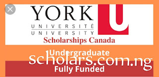 York University Scholarships for International Students: Application Information